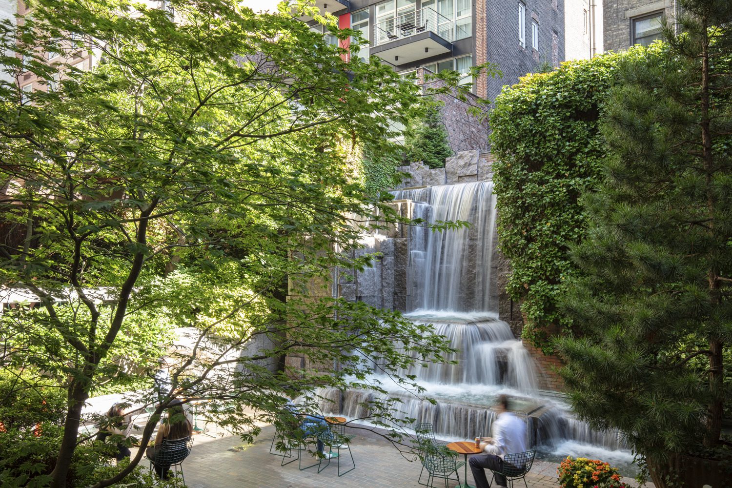 Oasis urbanos